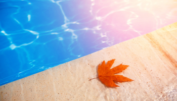 autumn-pool
